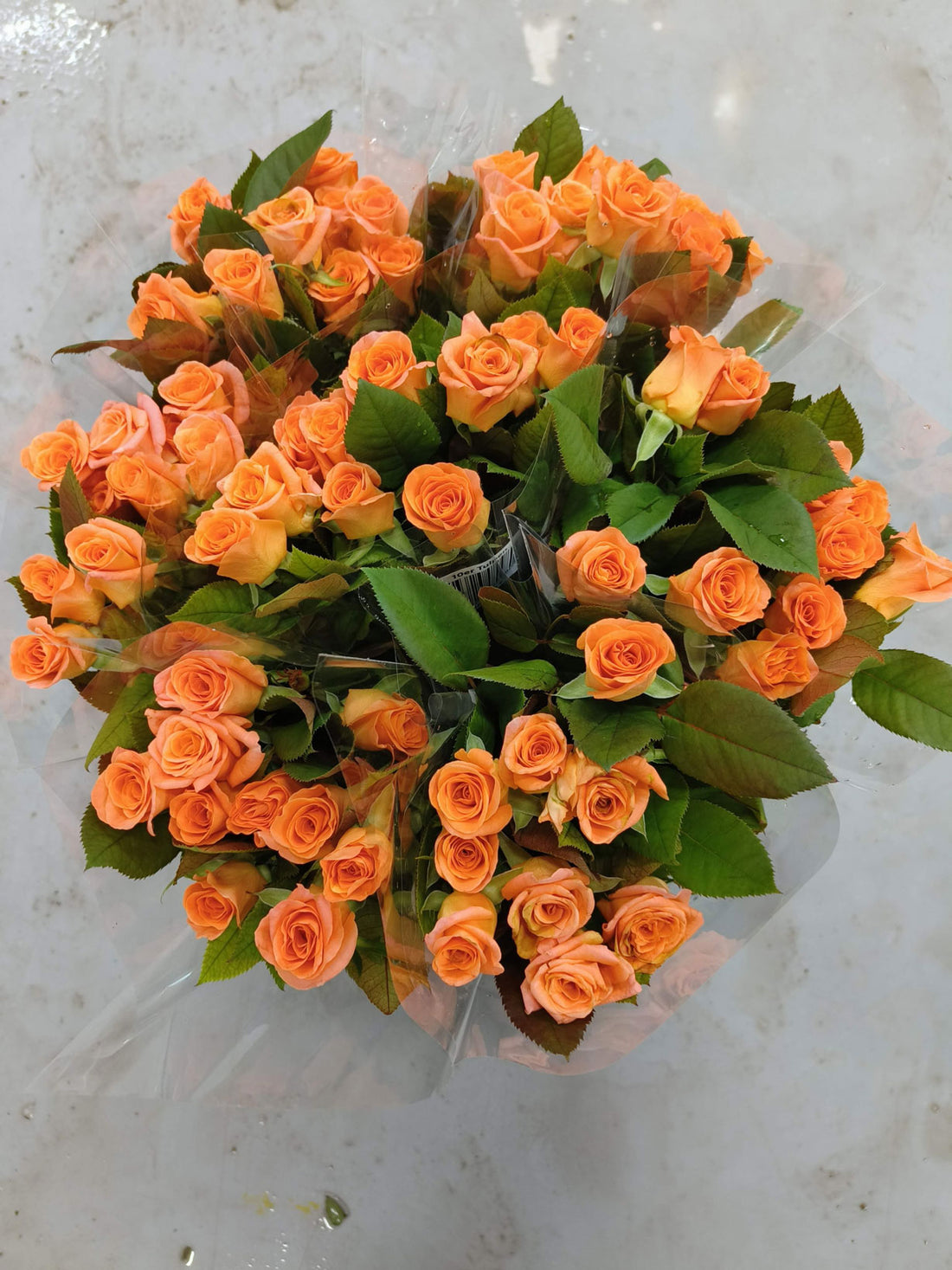 ורדים גוונים כתומים