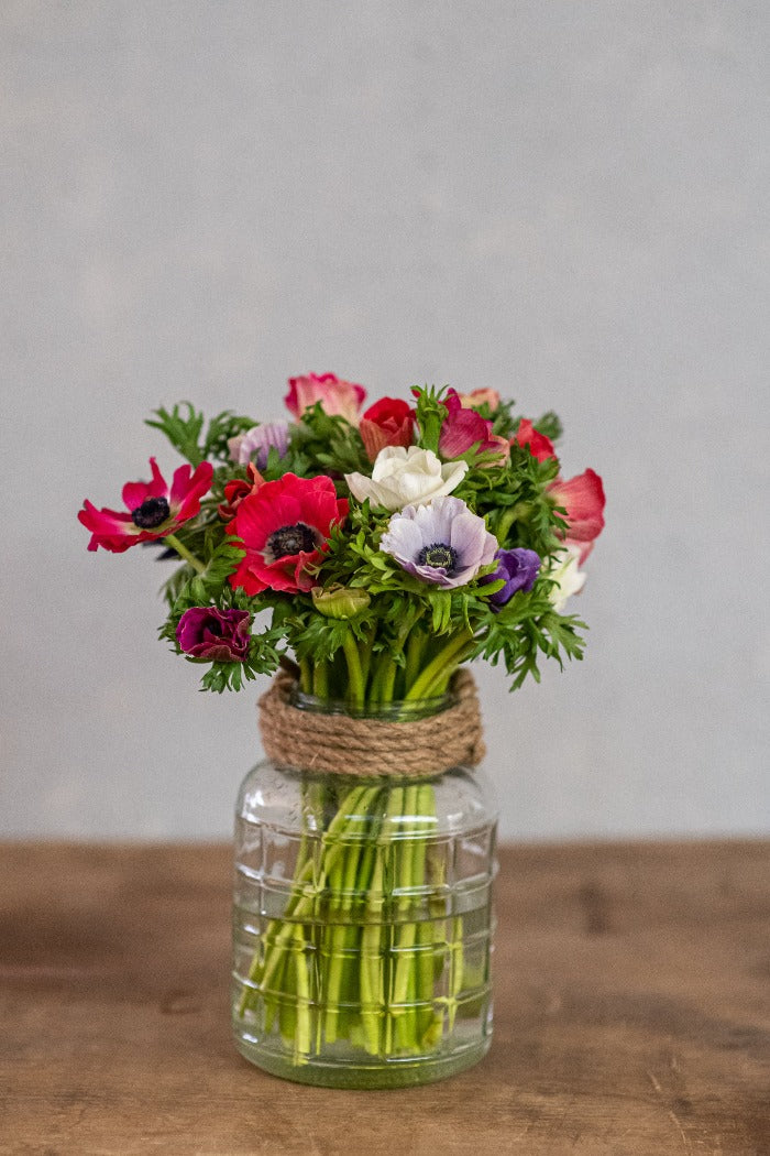 כלניות מיקס צבעים