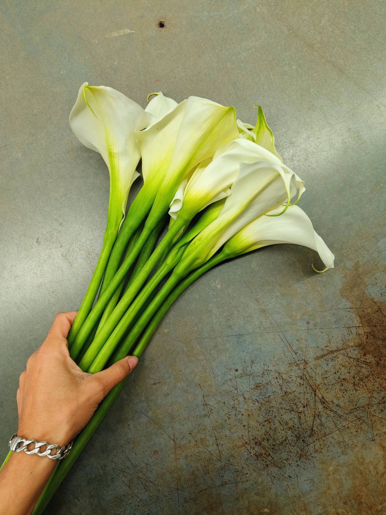 זר כלה קאלות לבנות